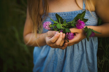 Mittelteil eines Mädchens, das lila Blumen hält und auf einem Feld steht - CAVF63242