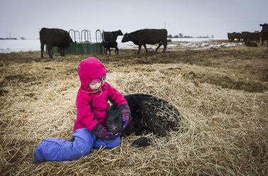 Full length of girl with calf sitting on hay at farm - CAVF63248