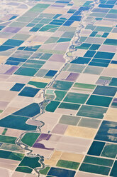 Patchwork Fields - MINF10709