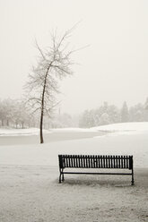 Empty Park Bench in Snow - MINF10791