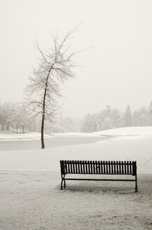 Leere Parkbank im Schnee - MINF10791