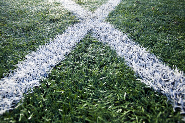 Lines on Sports Field - MINF10824