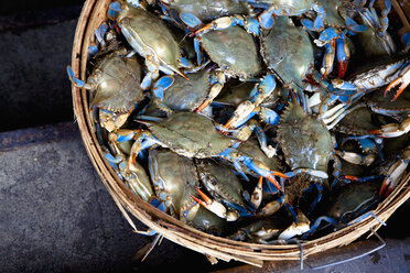 Basket of Crabs - MINF10843