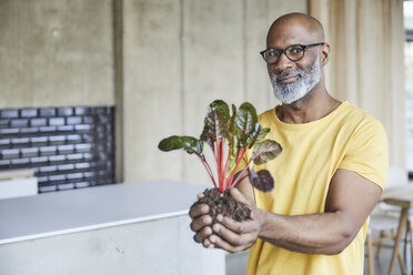 Portrait of smiling mature businessman holding plant in office - FMKF05473