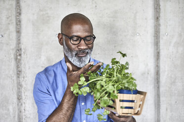 Mature businessman holding plants at concrete wall - FMKF05490