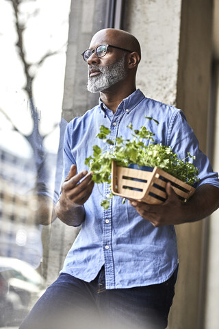 Mature businessman holding plants looking out of window stock photo