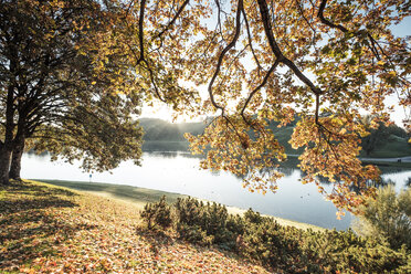 Germany, Munich, Olympic Park, Olympic Lake in the morning - WFF00048