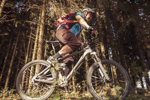 Mann fährt Mountainbike auf Waldweg, lizenzfreies Stockfoto