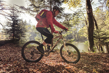 Mann fährt Mountainbike auf Waldweg - SEBF00068