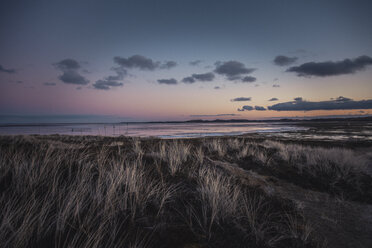 Germany, Sylt, Schleswig Holstein Wadden Sea National Park, dune landscape, List, evening light - ANHF00079