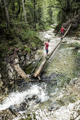 Deutschland, Bayern, Oberbayern, Walchensee, zwei junge Männer überqueren auf einem Baumstamm einen Wildbach, Zwillinge - WFF00052