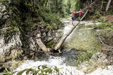 Deutschland, Bayern, Oberbayern, Walchensee, zwei junge Männer überqueren auf einem Baumstamm einen Wildbach, Zwillinge - WFF00053