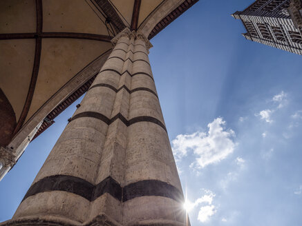 Italien, Toskana, Siena, Kathedrale von Siena, Turm und Säule im Gegenlicht, tiefer Blickwinkel - LAF02238