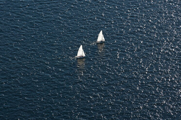 Sailboats in the Ocean - MINF10892