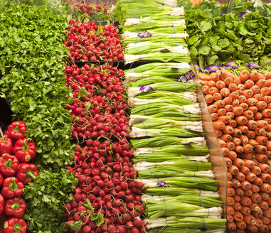 Gemüsegang im Lebensmittelgeschäft - MINF10903