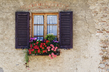 Bunte Blumen im Blumenkasten am Fenster - MINF10928