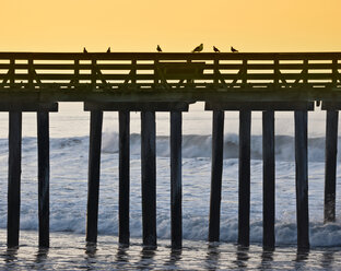 Pier am Meer bei Sonnenaufgang - MINF10963