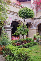 Old World Courtyard - MINF11018