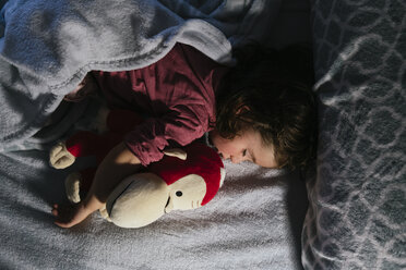 Toddler girl sleeping in bed with a soft toy dog orang-utan - GEMF02909