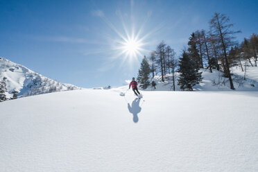 Deutschland, Bayern, Berchtesgaden, Jenner, Skilanglauf gegen die Sonne - HAMF00573