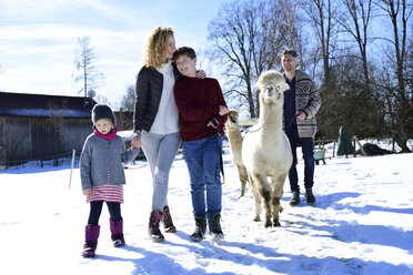 Familie beim Spaziergang mit Alpaka auf einer Wiese im Winter - ECPF00560