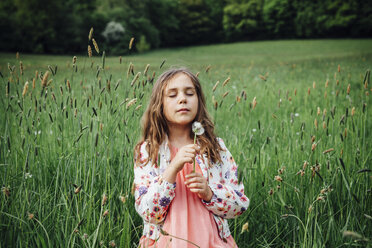 Portrait of girl with blowball on a meadow - ANHF00097