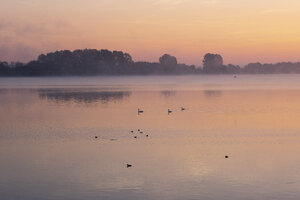 Deutschland, Bayern, Stausee Ismaning, Pliening, Sonnenaufgang - SIEF08446