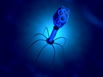 3D-gerenderte Illustration einer anatomisch korrekten Konvergenz zu einem Bakteriophagen, einem Virus, der sich in einem Bakterium vermehrt - SPCF00384