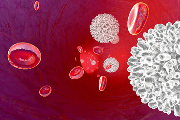 3D gerenderte Illustration, Erythrozyten und Leukozyten fließen in einem Blutgefäß - SPCF00385