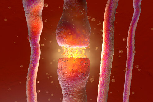 3D Rendered Illustration, visualisation of neurons firing neurotransmitters in the synaptic gap - SPCF00386