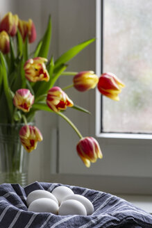 Weiße Eier in Küchenhandtuch mit Tulpen im Hintergrund - MELF00202
