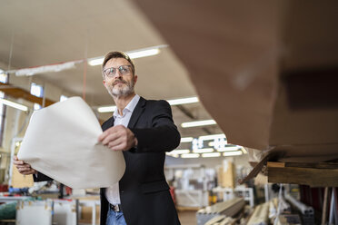 Geschäftsmann mit Plan in Fabriklager - DIGF06255