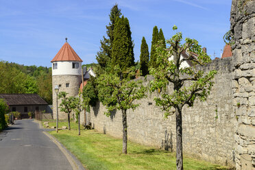 Deutschland, Bayern, Franken, Unterfranken, Eibelstadt, Stadtmauer mit Turm - LBF02472