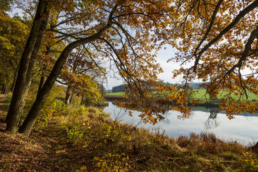 Germany, Bavaria, Roding, Regen river on the Regentalhaenge - LBF02492