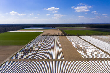 Germany, Hesse, Aerial view of asparagus field with white plane - AMF06857