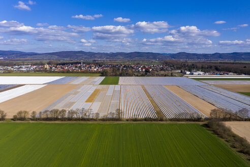 Germany, Hesse, Bergstrasse, Aerial view of asparagus field with white plane - AMF06864