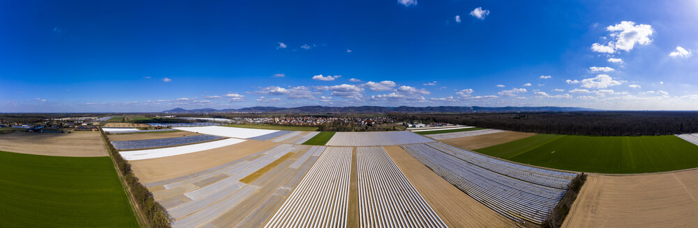 Germany, Hesse, Bergstrasse, Aerial view of asparagus field with white plane - AMF06865