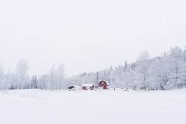 Finnland, Kuopio, Bauernhaus in Winterlandschaft - PSIF00252