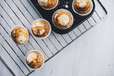 Selbstgebackene Muffins im Muffinblech auf dem Abkühlgitter - ERRF00804