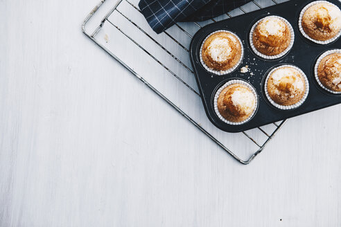 Selbstgebackene Muffins im Muffinblech auf dem Abkühlgitter - ERRF00806