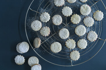 Christmas Cookies Spitzbuben on a baking grid, icing sugar - ASF06317