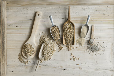 Organic wheat, rye shot, amaranth, spelt, buckwheat and oat on shovels and on wood, from above - ASF06325