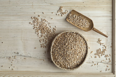 Organic spelt wheat in bast bowl, on wood, from above - ASF06328