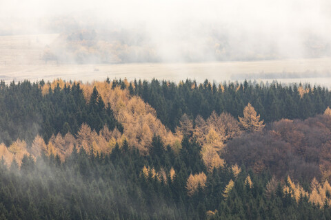 Deutschland, Naturpark Hessische Rhön, Herbstnebel auf der Wasserkuppe, lizenzfreies Stockfoto