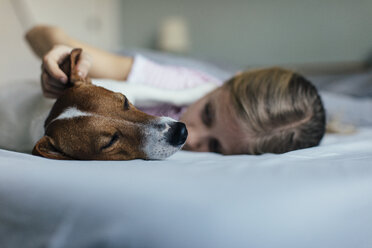 Girl lying on bed tickling her dog - JPF00376