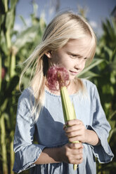 Blond girl holding corn cob in a cornfield - EYAF00034