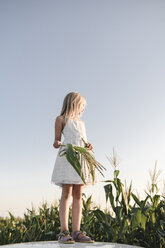 Blond girl standing at a cornfield - EYAF00052