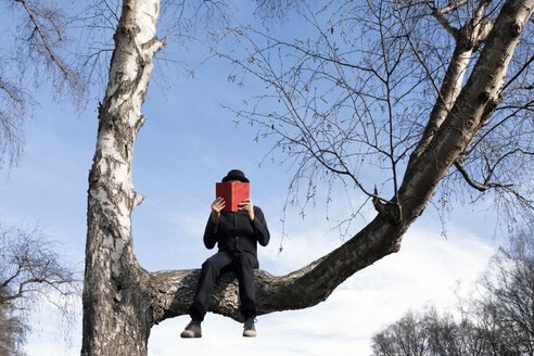 Mann sitzt im Baum und liest ein Buch - PSTF00352