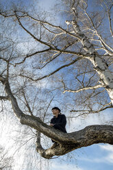 Mann sitzt im Baum und schaut hinaus - PSTF00353