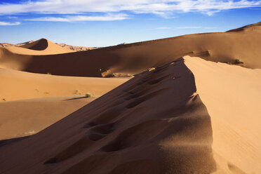 Morocco, Sahara, Merzouga, Erg Chebbi, desert dune - PSTF00402